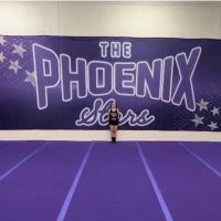 Custom Backdrop 40x10 ft - Thick Cloth