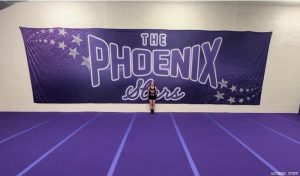 Custom Backdrop 40x10 ft - Thick Cloth